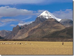 Kailash-Himalayas-Field